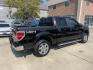 2013 Plum /Beige Ford F-150 XLT SuperCrew 6.5-ft. Bed 4WD (1FTFW1ET0DF) with an 3.5L V6 TURBO engine, 6-Speed Automatic transmission, located at 1501 West 15th St., Houston, 77008, (713) 869-2925, 29.797941, -95.411789 - Photo#1